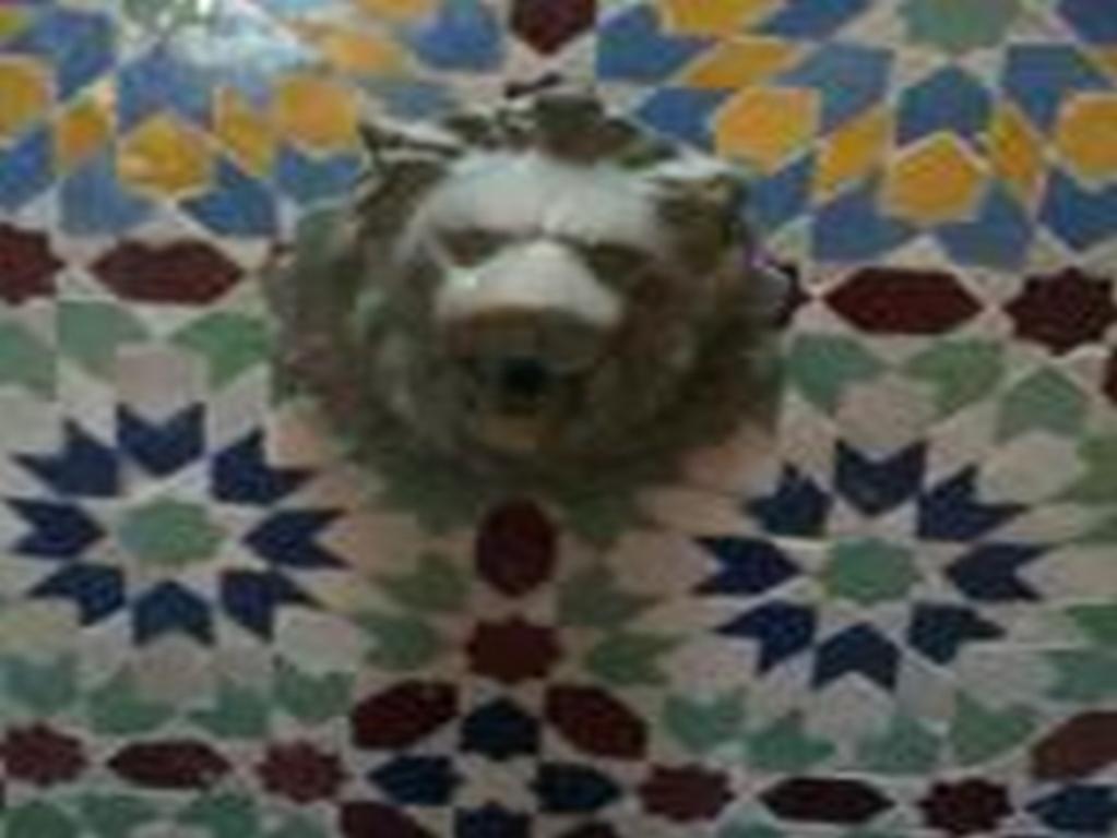 Riad Etoile D'Essaouira Esterno foto